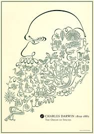 Didatticarte On Twitter Miki Charles Darwin Science Art