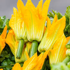 This is a normal growth habit and varies with cultivars. What You Need To Know About Squash Blossoms The Flower We Love To Fry Kitchn