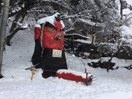 名站推薦 tips：2021年6月24日 已更新失效連結 total 13 ». éžé¦¬å¤©ç‹—å› å¤§é›ªé¼»å­æ–·è£‚çµæžœéžé¦¬å¯º å¹«é¼»å­æ–·æŽ‰çš„å¤©ç‹—è²¼ä¸Šokè¹¦ é€™ä¹Ÿå¤ªèŒxdddd