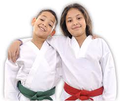 What You Can Learn In Martial Arts For Kids Program Dos Taekwondo Sydney Best Taekwondo Club Sydney Carringbah Ns Karate Academy Kids Mma Learn Krav Maga