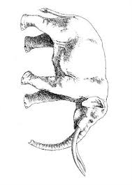 In case you don\'t find what you are looking for, use the top search bar to search again! Kids N Fun Com 10 Coloring Pages Of Animals Of The Ice Age