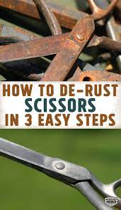 Remove Rust From Scissors In Three Easy Steps Simply Soak Check And Dry Metal Rescue Rust Remover How To Remove Rust How To Clean Rust Cleaning Rusty Tools