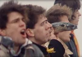 Andreas Frege . Die Toten Hosen