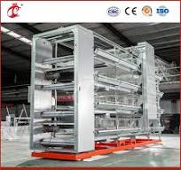 Bestchickencage China Green Chicken Coop Supplier H Frame Automatic Boriler  Cages OEM Custom Competitive Price Paw Wooden Chicken Coop