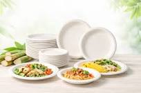 Sugarcane Bagasse Plates | Biodegradable & Compostable Material Guide | Bioleader®
