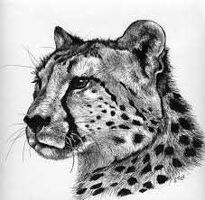 Black And White Cheetah Drawing Black And White Cheetah Portrait In Profile Tattoo Design Tattooimages Biz Cheetah Face Big Cat Tattoo Cheetah Drawing