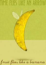 Time Flies Like An Arrow Fruit Flies Like A Banana Pun Parallelism Fruit Flies Quote Posters Fruit