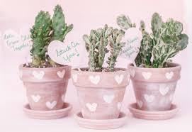 This way, you won't just be able to create a whole new form of cactus but also increase the growth. Top Phoenix Life And Style Blogger Love And Specs