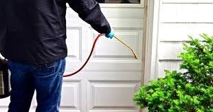 The danger posed by some pests such as wasps. East Coast Pest Control 415 Boston Turnpike Shrewsbury Ma Pest Control Mapquest