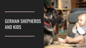 German Shepherds And Kids Gshepherds Com German Shepherd Puppies Training German Shepherd German Shepherd Training