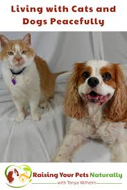 Pin On Raising Your Pets Naturally With Tonya Wilhelm