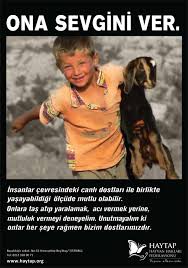 Yureklerimiz Kanada Da Agliyor Don Kisot Un Kosesi Kutuphane Haytap Hayvan Haklari Federasyonu