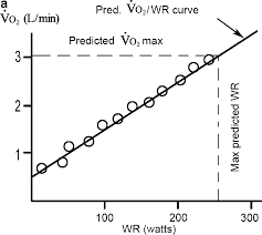 Exercise Testing Springerlink