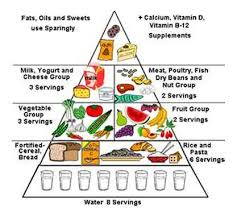 The Food Pyramid In Sri Lanka Food Pyramid Food Triangle Food Lessons