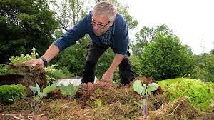 pin auf garten rezepte