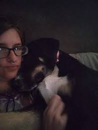 Spokane Area LOST and FOUND Pets