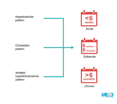 Image result for Liver Function Test Abnormality