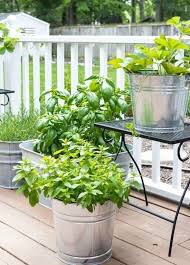 Herbs are some of the easiest plants to grow and they grow effusively. 6 Types Of Urban Herb Gardens That Need No Space