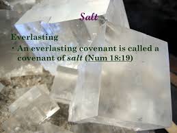 Image result for images covenant of salt