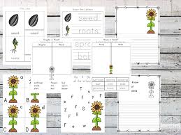 Th 67 sunflower worksheet printable pack contains a variety of math and literacy activities as well as many activities which help improve fine motor skills; Free Sunflower Life Cycle Worksheets