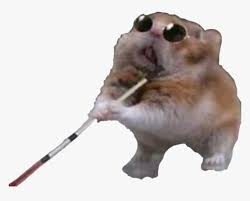 For the app to detect them, the have to all be in the same folder and in png format. Stickers Whatsapp Memes Png Transparent Png Kindpng