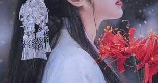hanfu girl hanfu asian beauty chinese beauty
