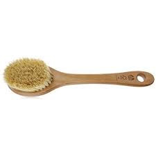 Visit the the body shop store. Amazon Com The Body Shop Cactus Body Brush Beauty Personal Care