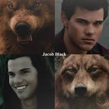 Wishing blessings to Twilight fans