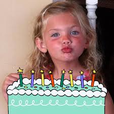 Do you think I should get the dog a window seat lol