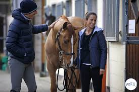 Jun 07, 2021 · henrik von eckermann tvingas pensionera sin topphäst tovek mary lou. Henrik Von Eckermann And Janika Sprunger On Good Times Gratefulness And Gut Feeling Part Two World Of Showjumping