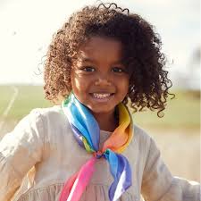 Amazon.com: Sarah's Silks