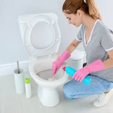 Add two spoons of baking soda to your toilet bowl. How To Clean A Toilet The Home Depot