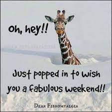 Check spelling or type a new query. Weekend Vibes Friday Quotes Funny Its Friday Quotes Weekend Quotes