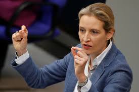 He pushed mccain to select sarah palin as his running mate, a choice which both schmidt and mccain came to regret. Alice Weidel Unser Ambitioniertes Fernziel Ist Es Dass Die Deutschen Irgendwann Afd Und Nicht Ard Schauen Nzz