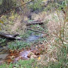 We did not find results for: Paradise Springs Nature Trail 6 Tips From 171 Visitors