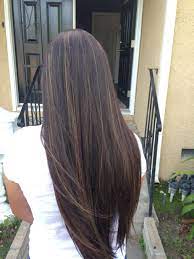 Dark Brown Hair With Caramel Highlights Balayage Straight Hair Hair Highlights Hair Styles Even the dullest hairstyle can appear exquisite with the correct choice of highlights.