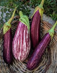 Add eggplant to one of your lists below, or create a new one. Eggplant S Myriad Disguises Aglaia S Table On Kea Cyclades