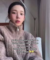 Karina's Hilarious Reaction to Birds at the Window