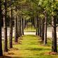 Adventurous Scavenger Hunt - Conroe scavenger hunt
