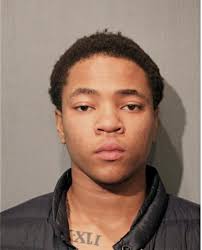 ᐅ Illinois Criminal Records 2009-2025