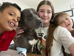 Friendship connections in Arkansas