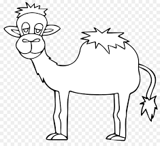 If you have old black and white photos in your ablum, you can digitize them with online photo scanners before uploading them to colourise.com. Book Black And White Png Download 1137 1022 Free Transparent Coloring Book Png Download Cleanpng Kisspng