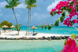 Auf martinique urlaub zu buchen, kann bedeuten, den ganzen tag an einem paradiesischen sandstrand unter palmen zu liegen und das gute leben zu genießen. Martinique Urlaub Faszination Karibik