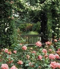 Beautiful Rose Garden Beautiful Rose Garden The Post Beautiful Rose Garden Appeared First On Garden Diy Beautiful Gardens Dream Garden Secret Garden