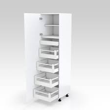 Before taking you further, you have to decide it now: 1 Door Internal Drawer Tall Cabinet Peter Hay