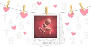 Na 20ª semana de gestação, todos os órgãos do bebê já estão formados e continuam a amadurecer até o nascimento. Semana 36 De Gravidez O Meu Bebe