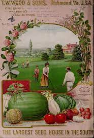 Descriptive Catalogue Wood S High Grade Seeds And Guide For The Farm And Garden 1902 T W Wood Sons Free Download Borrow And Streaming Internet Arc Vintage Seed Packets Seeds Seed Illustration