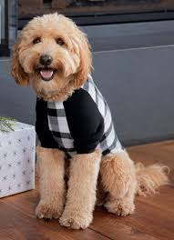 1969 newest Tiparillo Woman Jockey Vintage