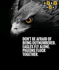 Birds Of Prey Full Movie Free Reddit Being Alone Is Better Than Being In The Wrong Company Eagles Quotes Negative Friends Inspirational Quotes Motivation