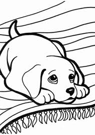 Exclusive Photo Of Kittens Coloring Pages Entitlementtrap Com Horse Coloring Pages Dog Coloring Book Dog Coloring Page